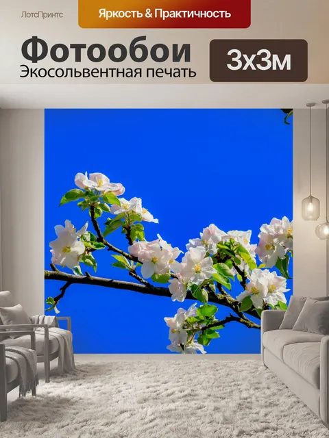 Фотообои Весенние цветы