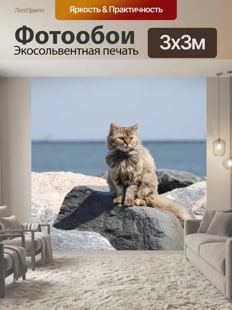 Фотообои Кошка