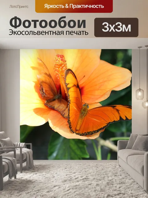 Фотообои Бабочка