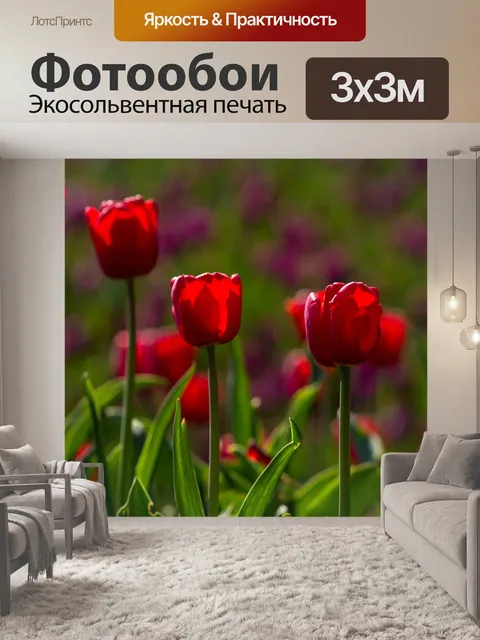 Фотообои Тюльпаны