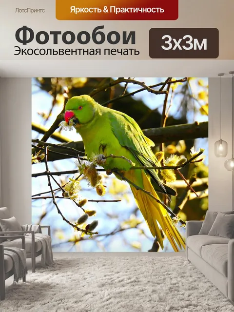 Фотообои Роза кольчатой попугай