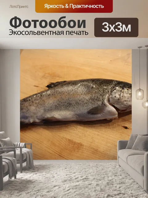 Фотообои Рыбы