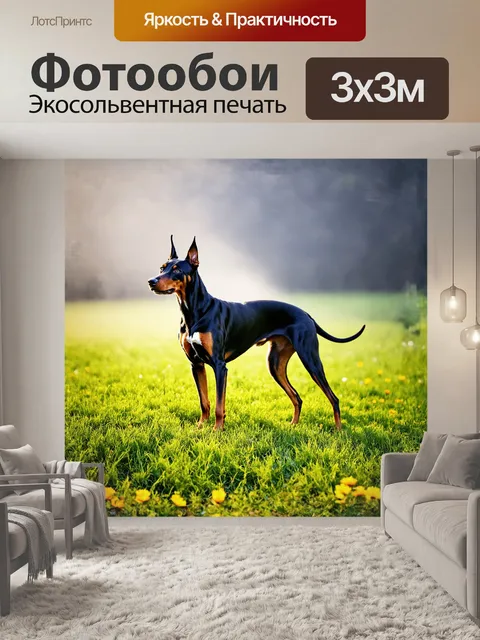 Фотообои доберман стоит на зеленом лугу, его блестящая черная шерсть контрастирует с яркой травой