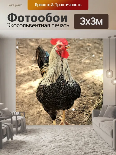 Фотообои Черно-белый петух