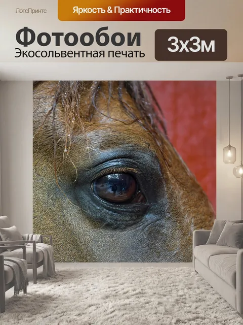 Фотообои Лошадь