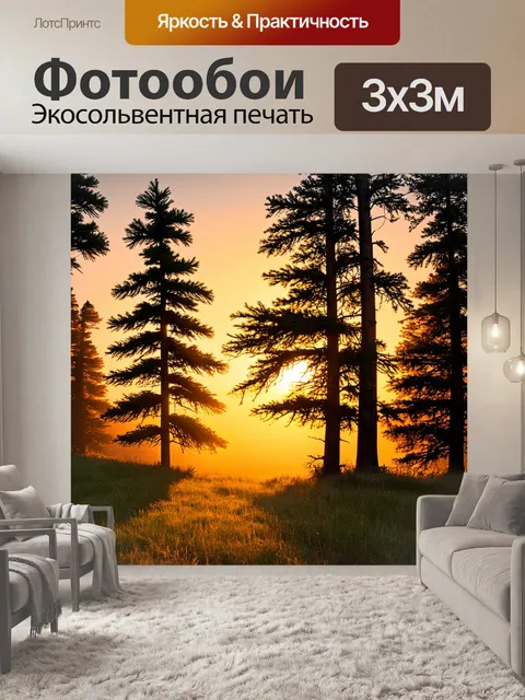 Фотообои лес на закате, где сосны и ели создают необычные силуэты