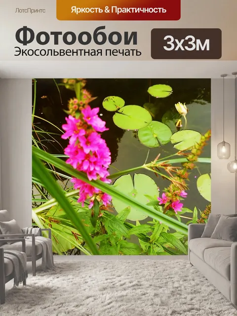 Фотообои Прыжок с водного пруда