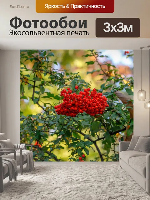 Фотообои Ботанический сад в Быдгоще