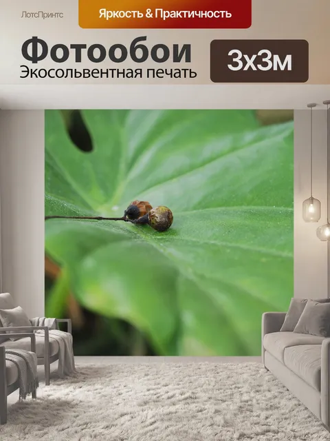 Фотообои Листья