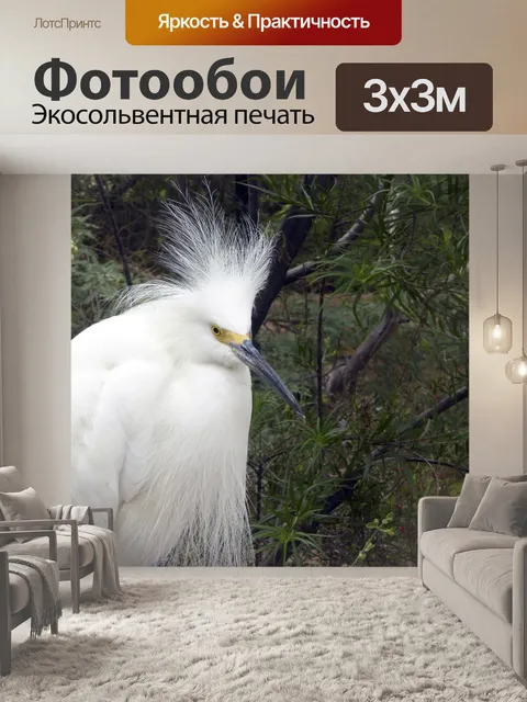 Фотообои Снежная цапля