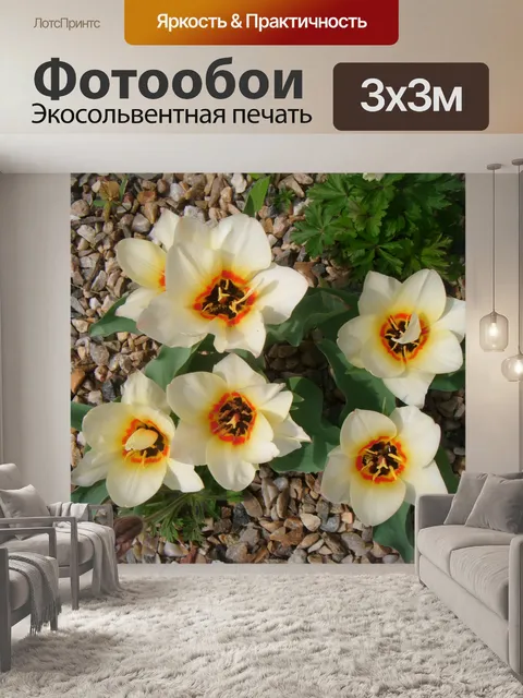 Фотообои Ницца тюльпаны