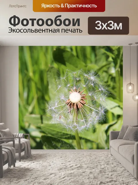 Фотообои Одуванчик
