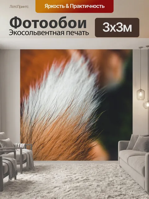 Фотообои Хвостик