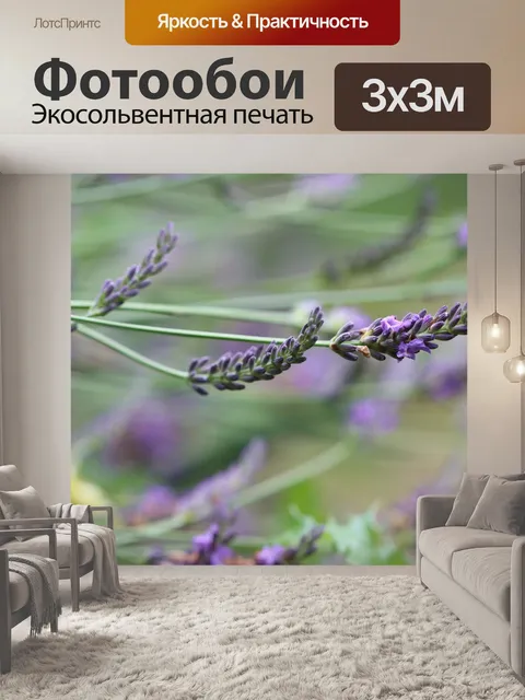 Фотообои Лаванда