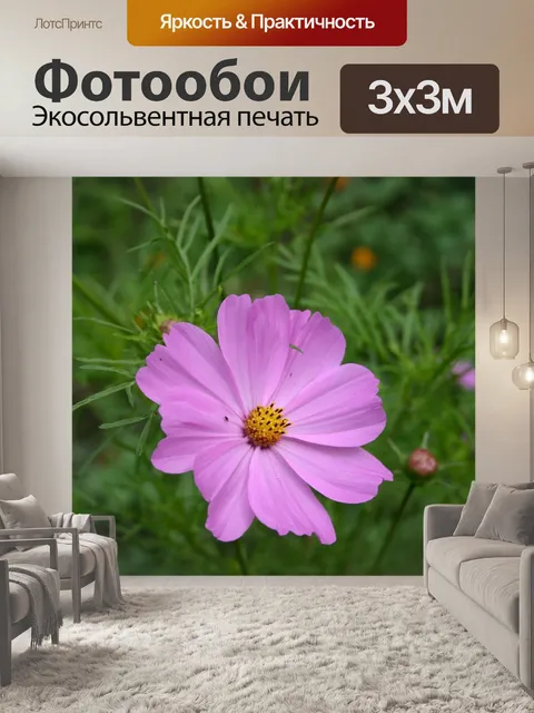 Фотообои Цветок