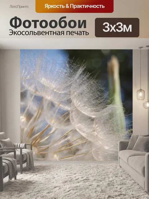Фотообои Цветы