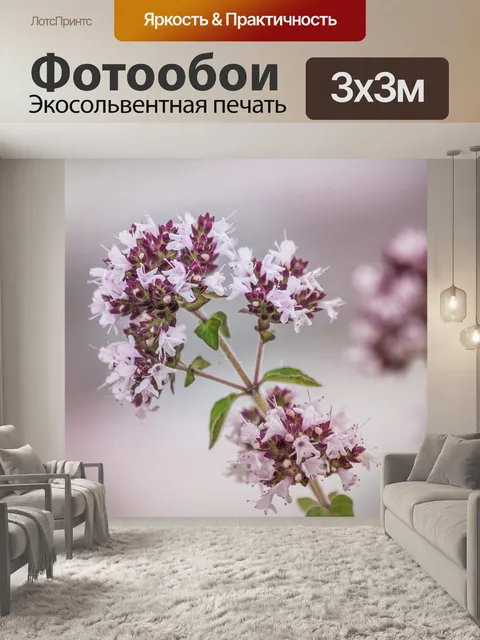 Фотообои Расцветает