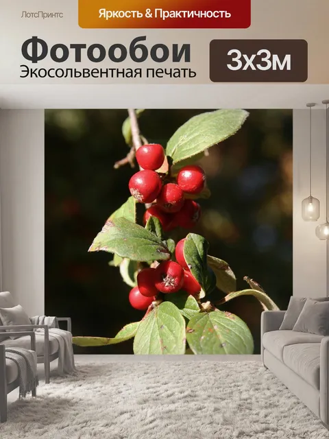 Фотообои Ягода