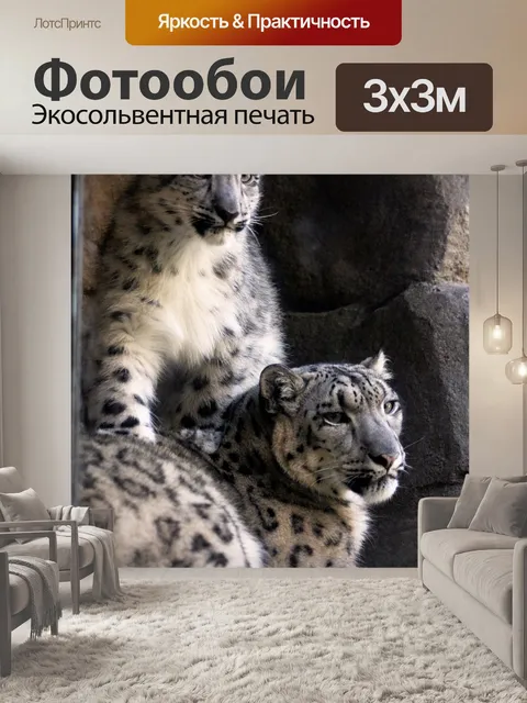 Фотообои Снег кошки