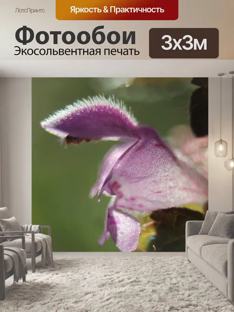 Фотообои Природа