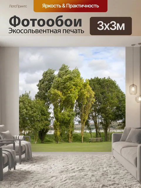 Фотообои Деревья против грозового неба