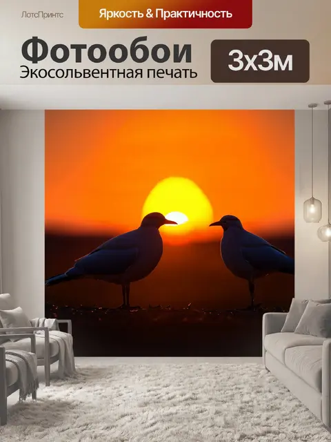 Фотообои финал заката на горизонте