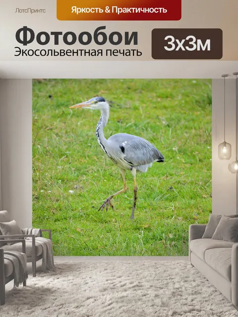 Фотообои Цапля