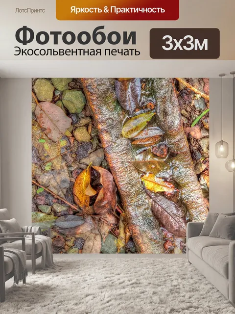 Фотообои Растительный мусор