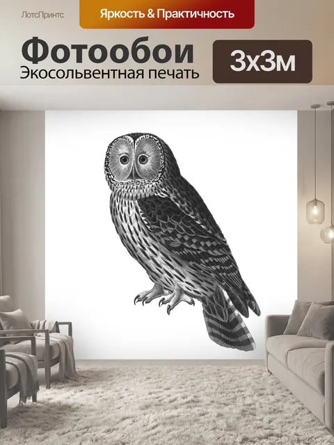Фотообои Сова Винтаж Искусство Иллюстрация