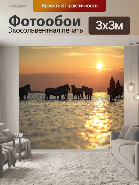 Фотообои Лошади