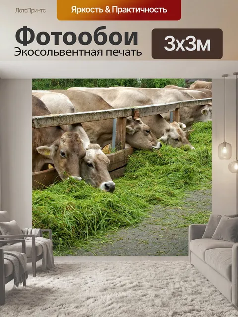 Фотообои Еда
