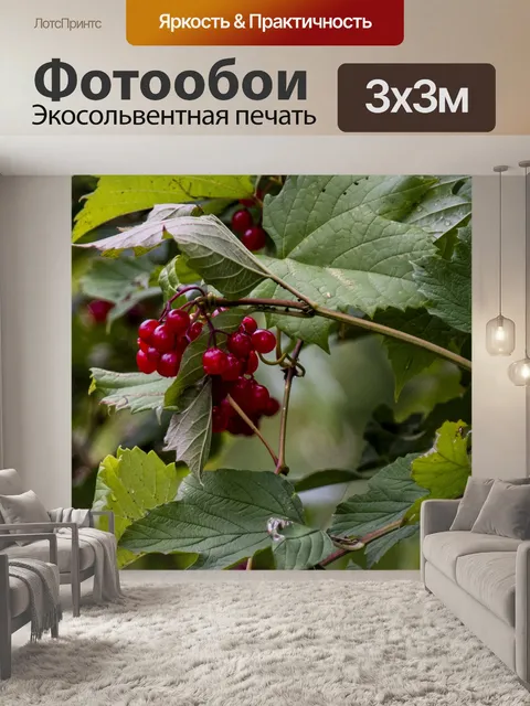 Фотообои Красное фруктовое дерево