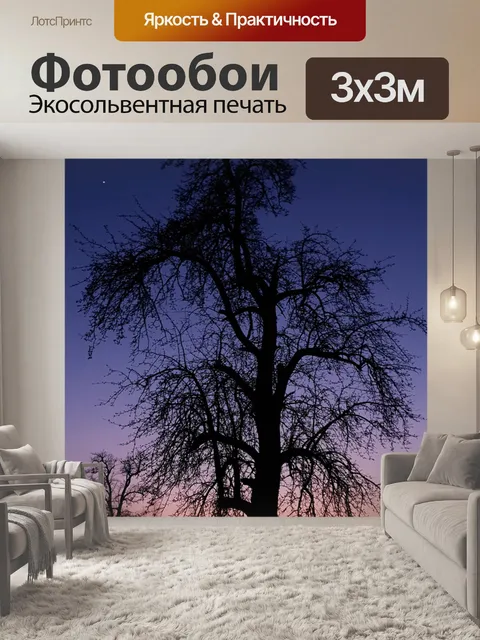Фотообои Груша