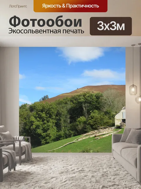 Фотообои Деревья