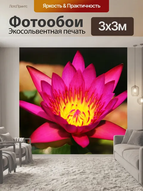 Фотообои Водяная лилия
