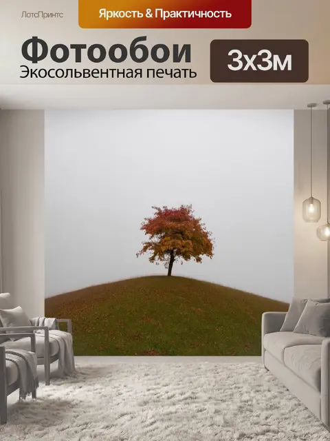 Фотообои одинокое дерево на холме, покрытом туманом, в солнечное утро
