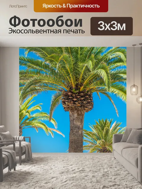 Фотообои Пальмы и голубое небо
