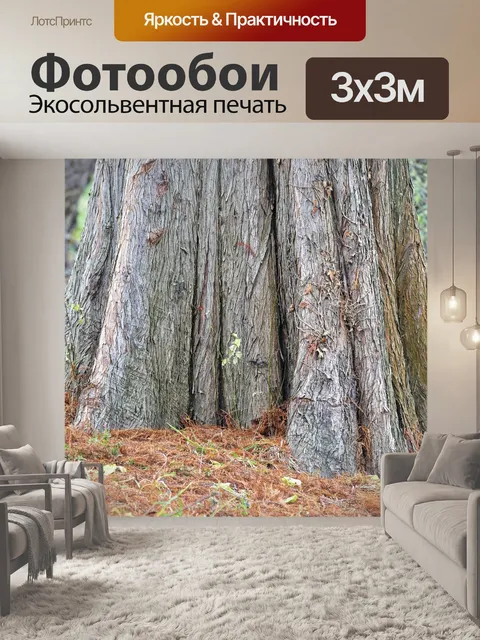 Фотообои Листья