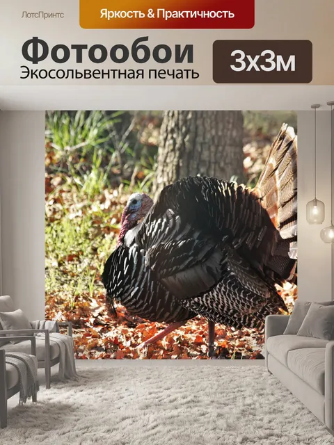 Фотообои Том Турция Профиль Крупный план