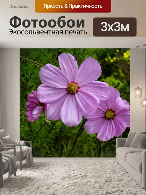 Фотообои Расцветает