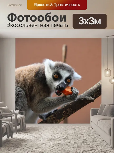 Фотообои Маки
