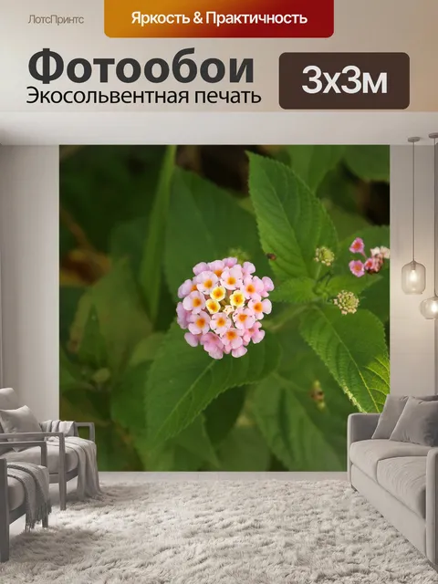 Фотообои Цветы