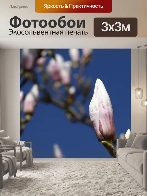 Фотообои Цветы