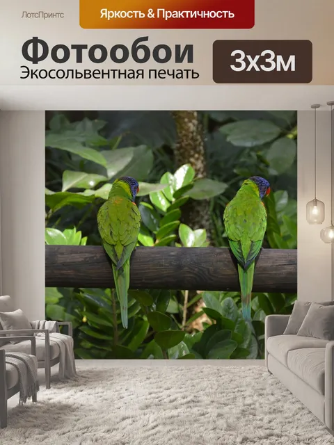 Фотообои Птица