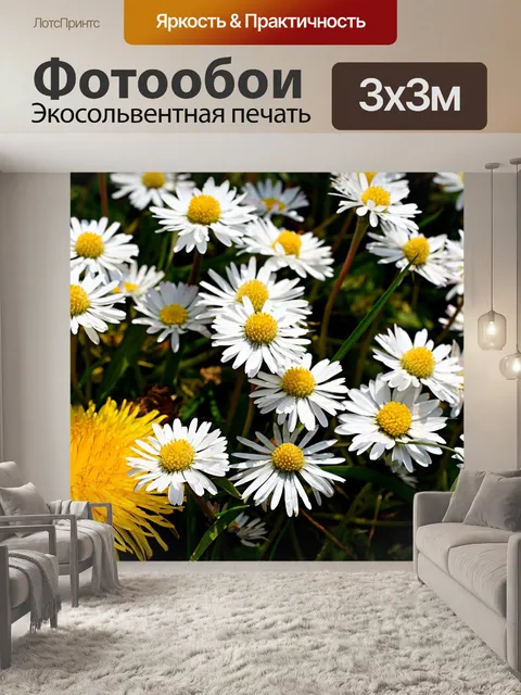 Фотообои Ромашки