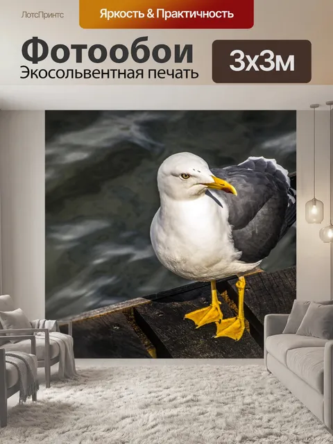 Фотообои Птица