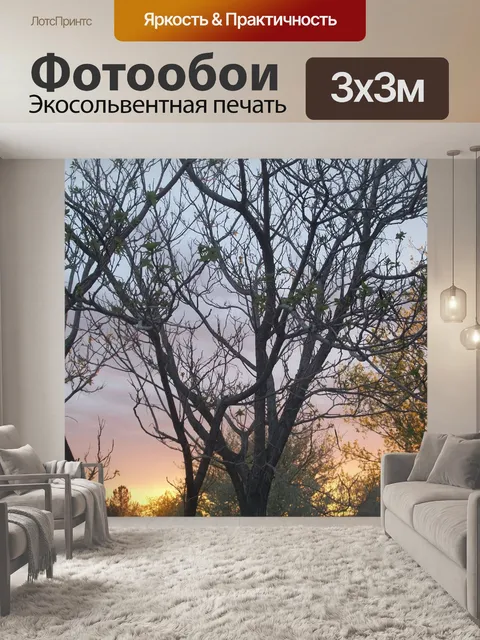 Фотообои Закат деревья
