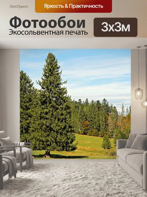 Фотообои Ели