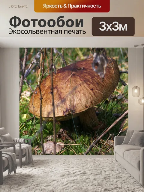 Фотообои Лес