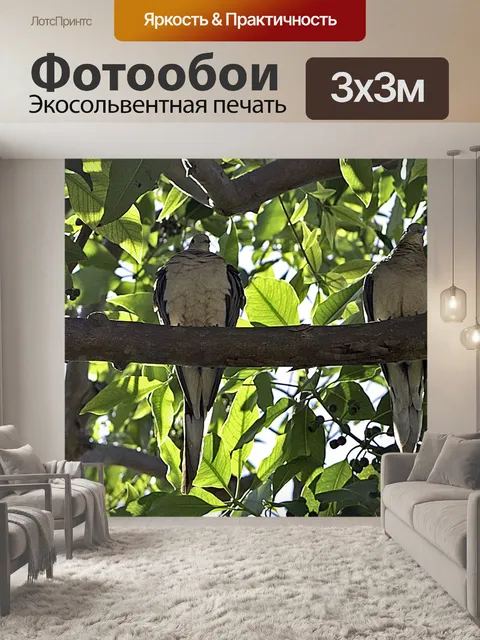 Фотообои Птицы